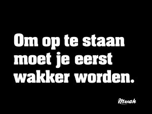 Om op te staan moet je eerst wakker worden.