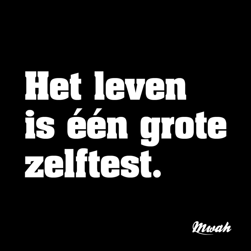 Het leven is één grote zelftest.